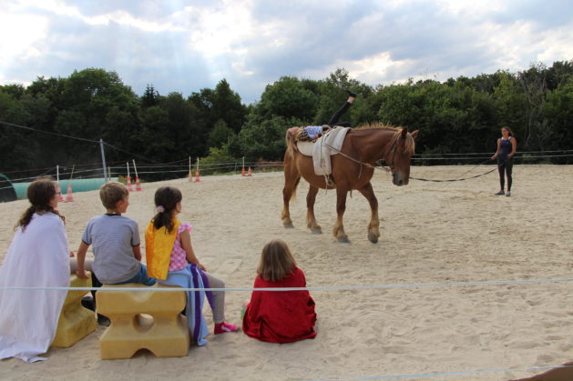 camp voltige cheval équitation