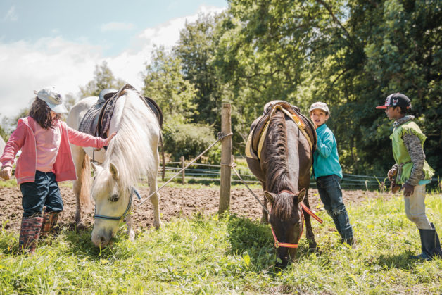 camp poney medieval cheval equitation