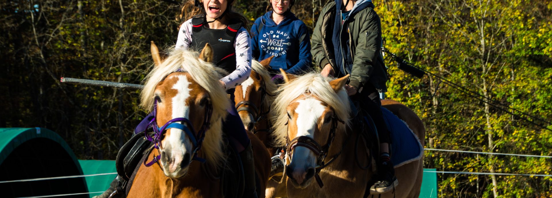 camp équitation enfants