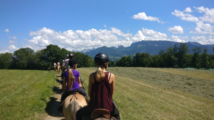 camp randonnée à cheval équitation